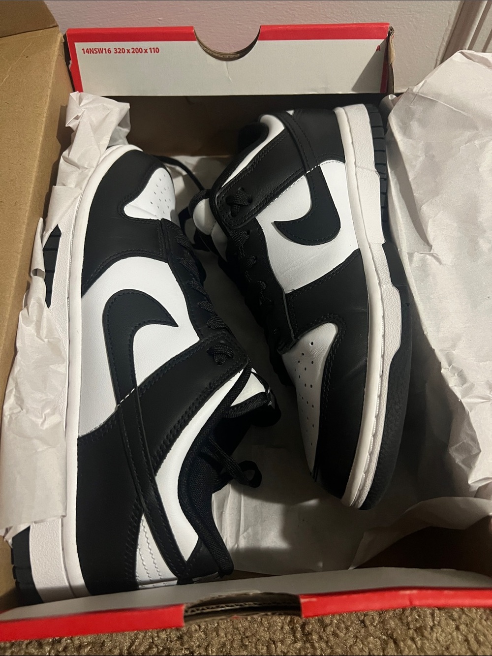 Nike Black & White Low-Top Skate Sneakers (Panda)